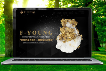 ��̨�������ﱦʯ